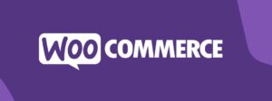 How to start online earning from woocommerce?